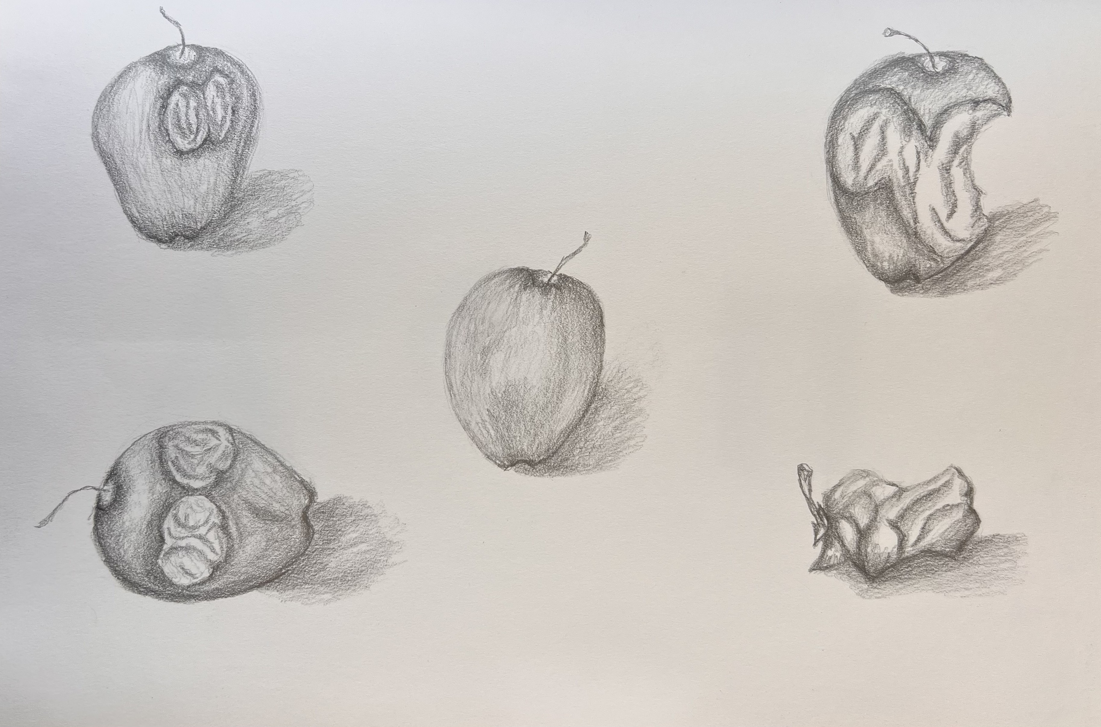 Zeichnung Apfel