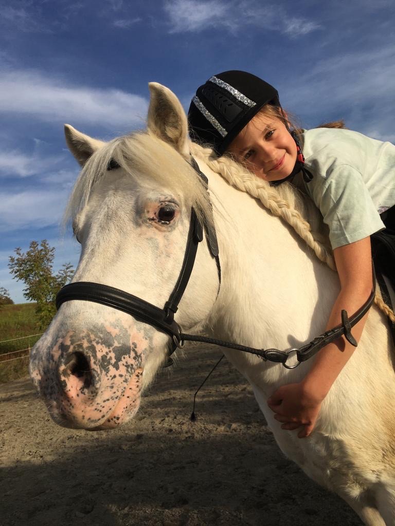 weißes Pony
